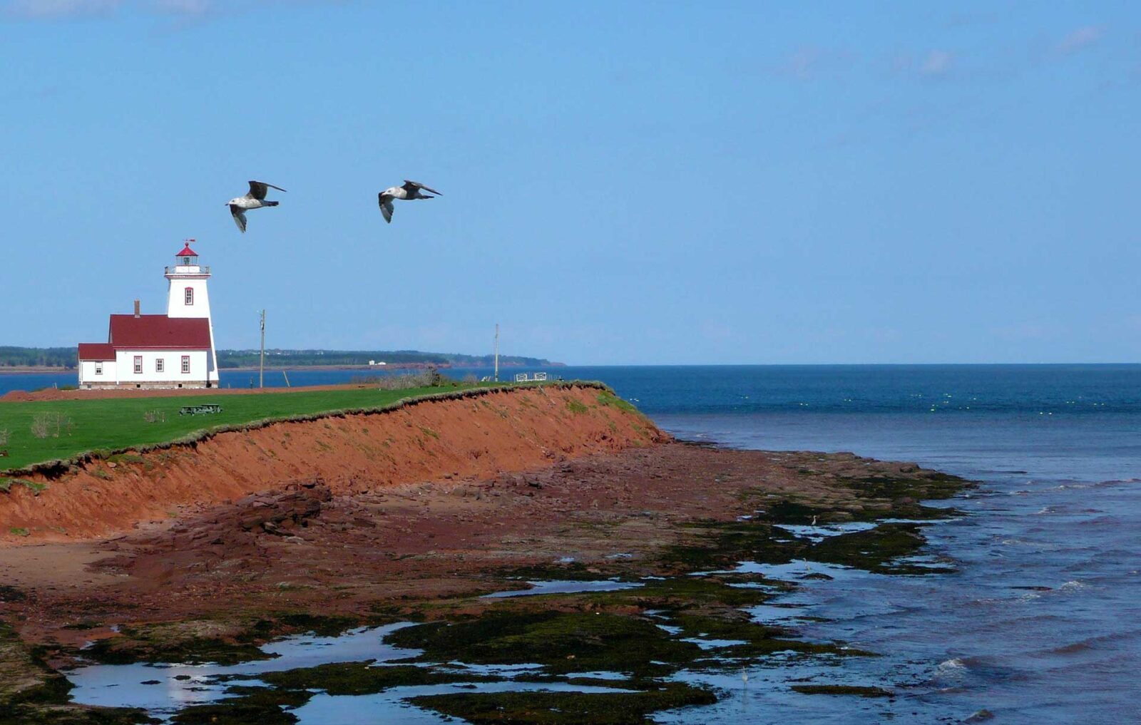 Breast Cancer Screening in Prince Edward Island