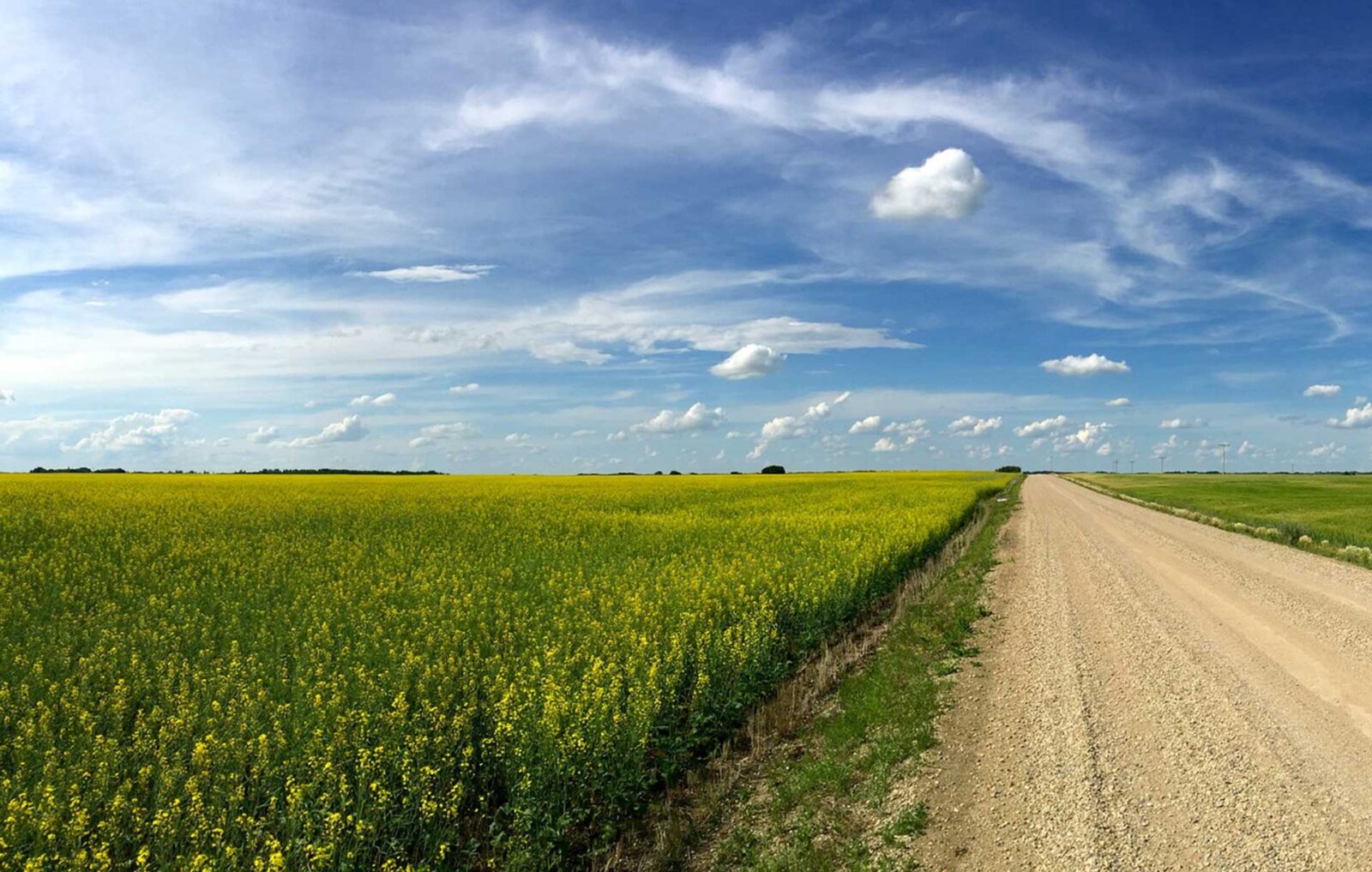 Breast Cancer Screening in Saskatchewan