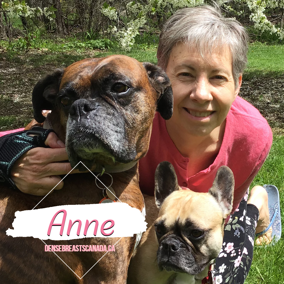 in-memory-anne story