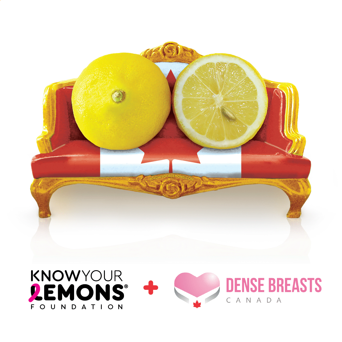 Announcing our new partner: Know Your Lemons