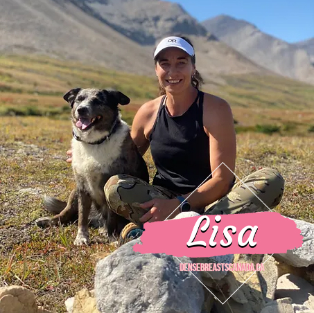 lisa-1 story