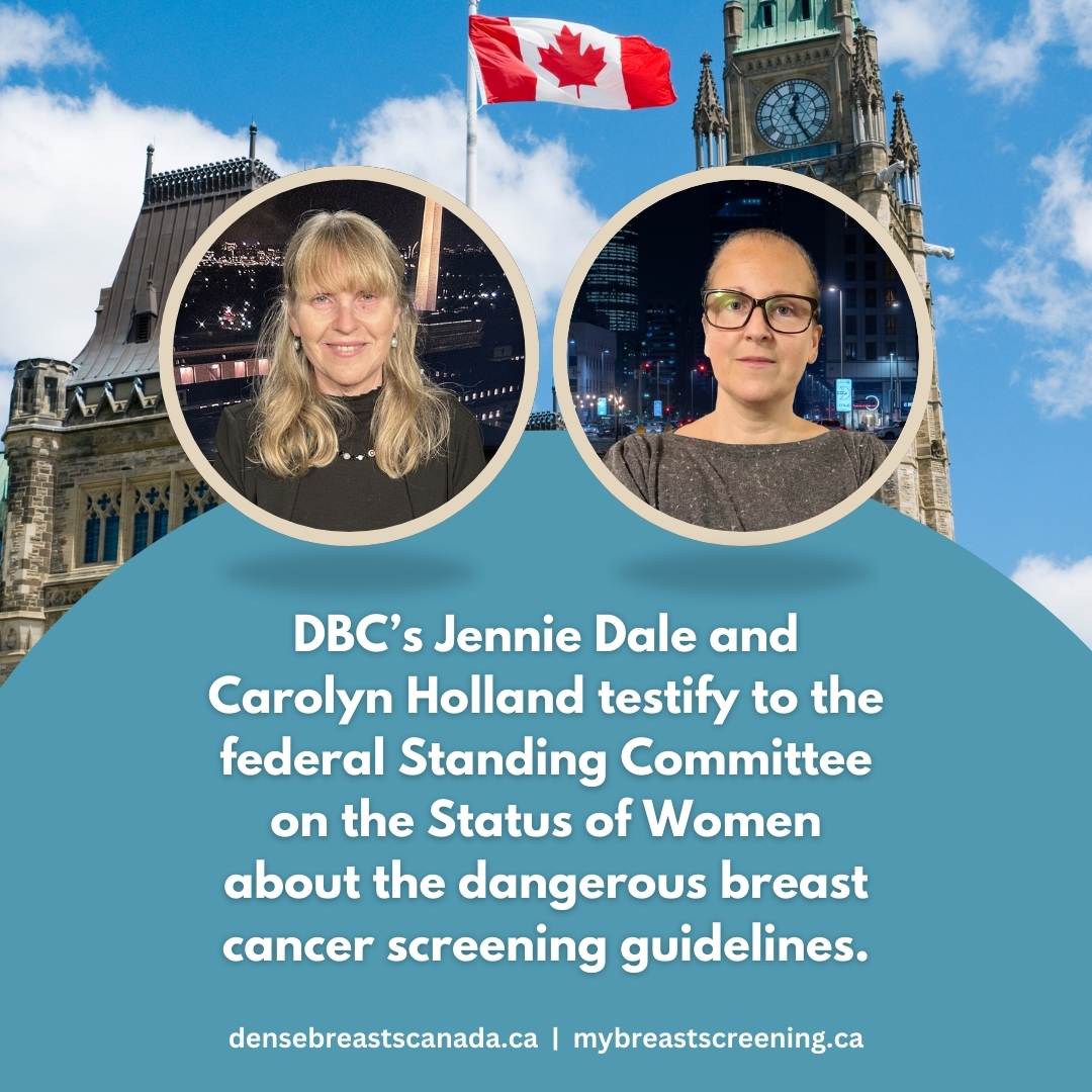 Testimony to Status of Women Committee Oct 9, 2024